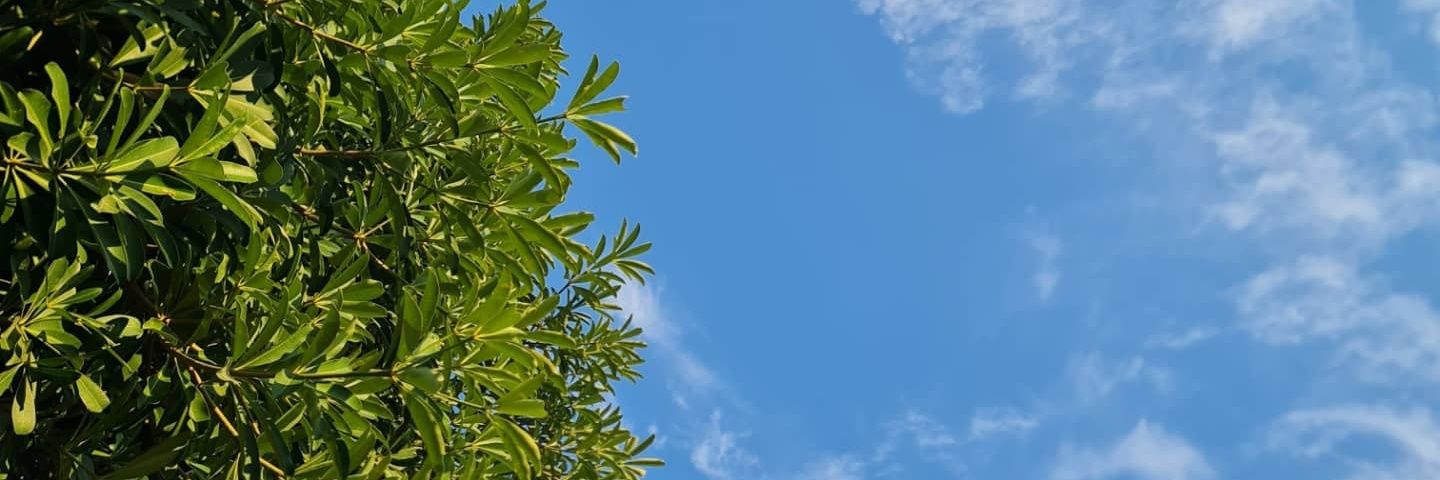 rushmeentweets's profile banner image