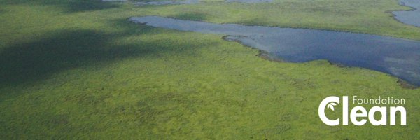 ed_clean Profile Banner