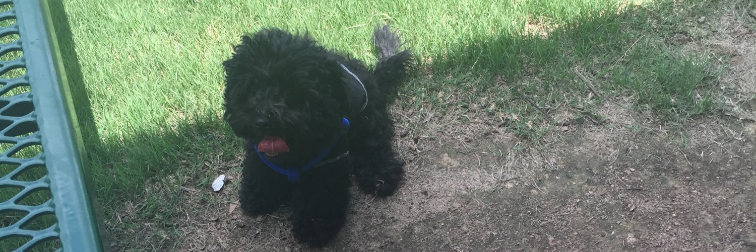 att_pixieTinker's profile banner image