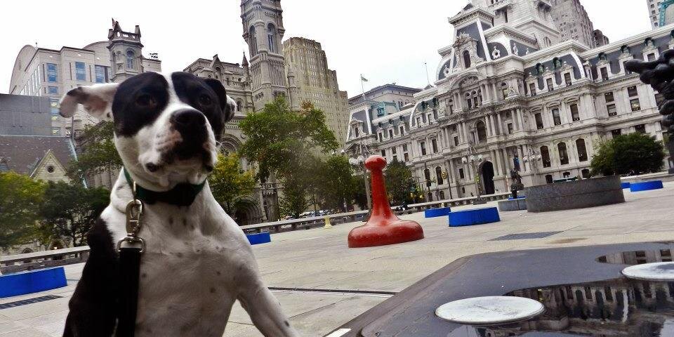 Jennifer Lynn Robinson banner