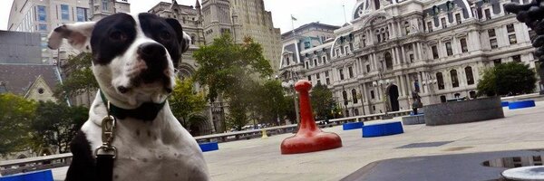 fancyinphilly Profile Banner