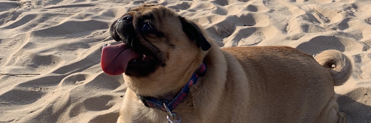 Jennifer Orbe banner