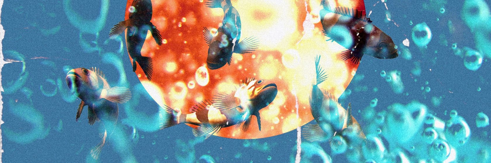 TMMYwntrs's profile banner image