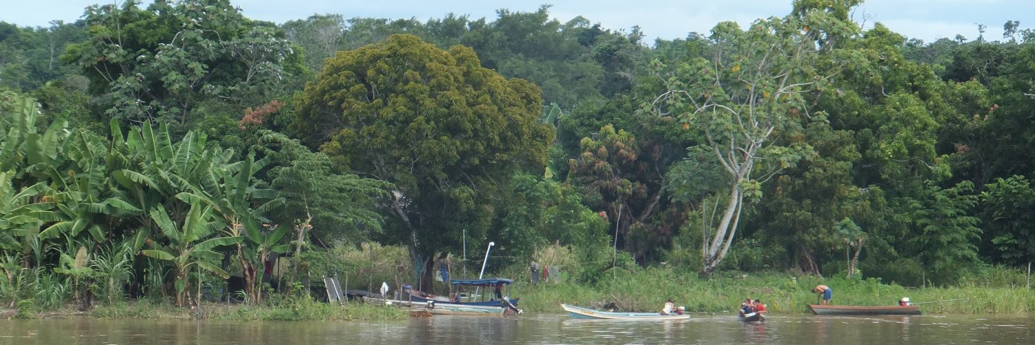 World Rainforest Movement (WRM) banner