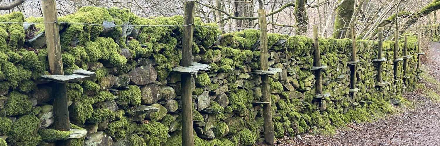 Dave’s not here, man banner