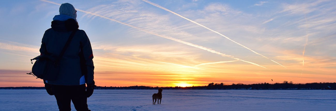 Michigan Environmental Council banner
