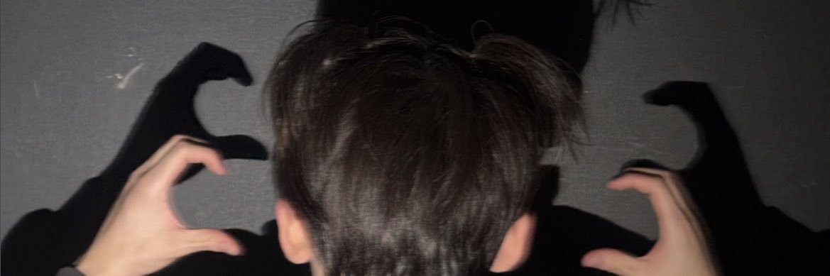 stobaeri_'s profile banner image