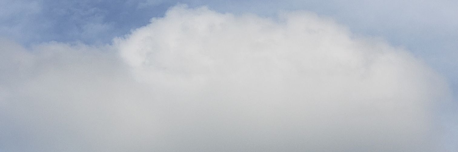 mococobutter's profile banner image
