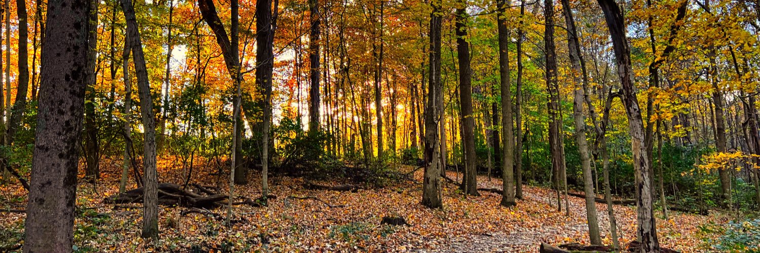 Brian Patrick Murray banner