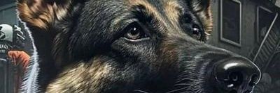 FerdyLV's profile banner image