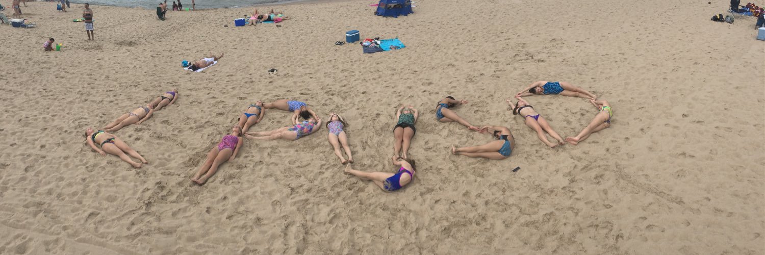 LTHSGirlsSwim&Dive banner