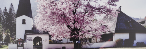 bombingprim's profile banner image