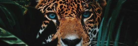 MarWiesner's profile banner image