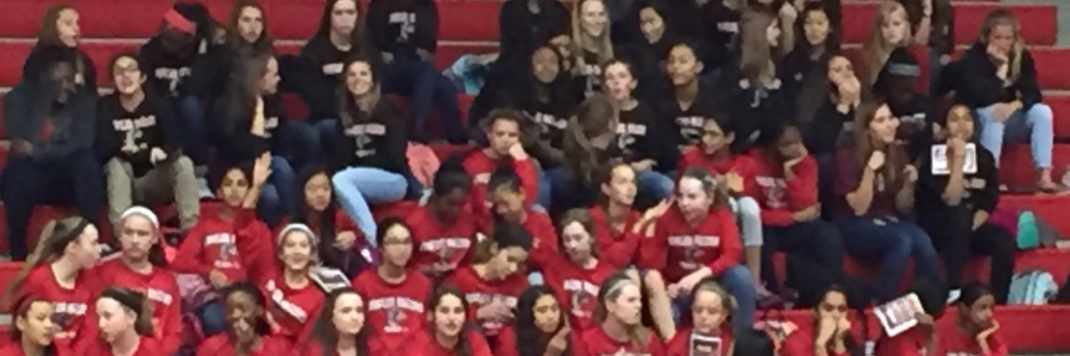Fowler Lady Falcons banner