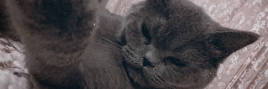 CansellUslu's profile banner image