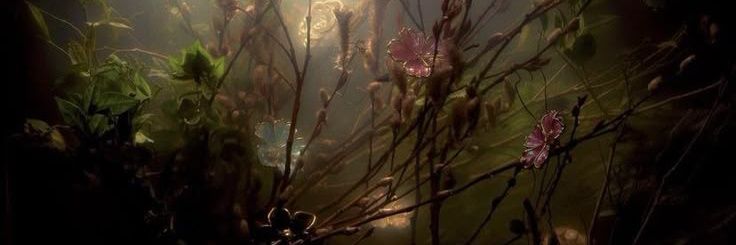 LOKADIKARA's profile banner image