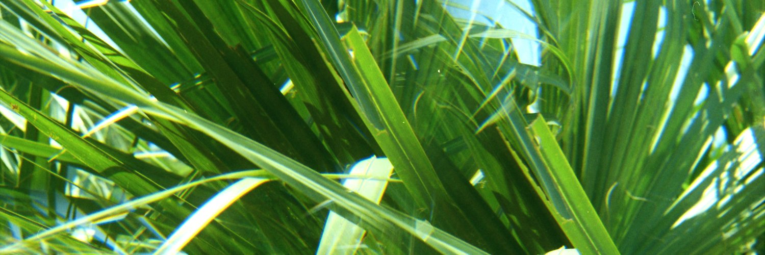 odthing's profile banner image