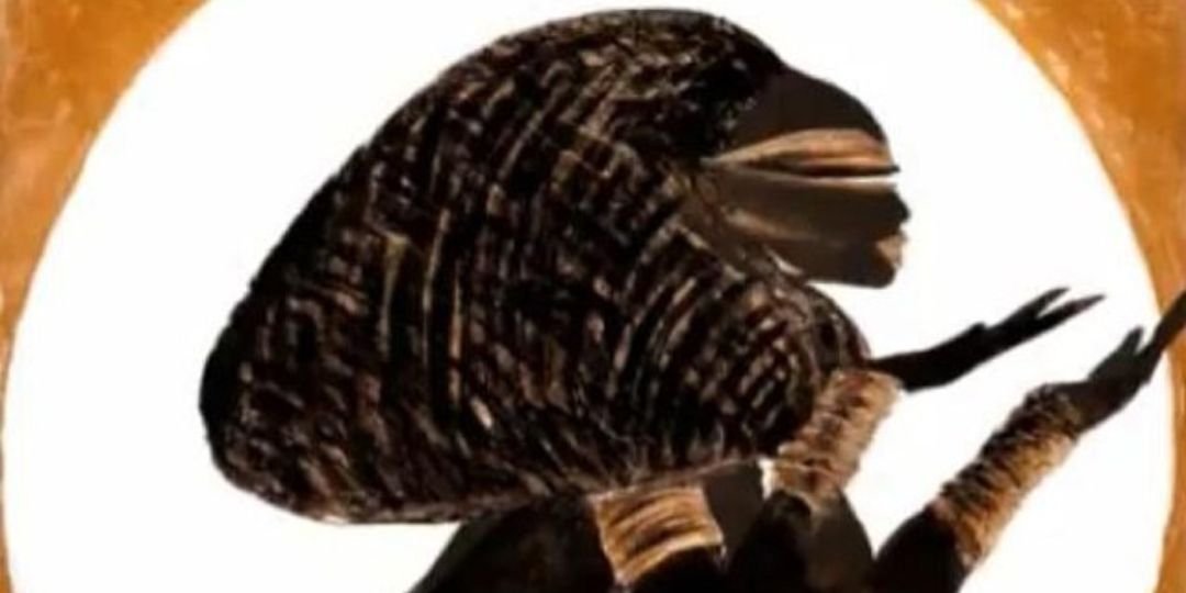SupaBaddShawdii's profile banner image