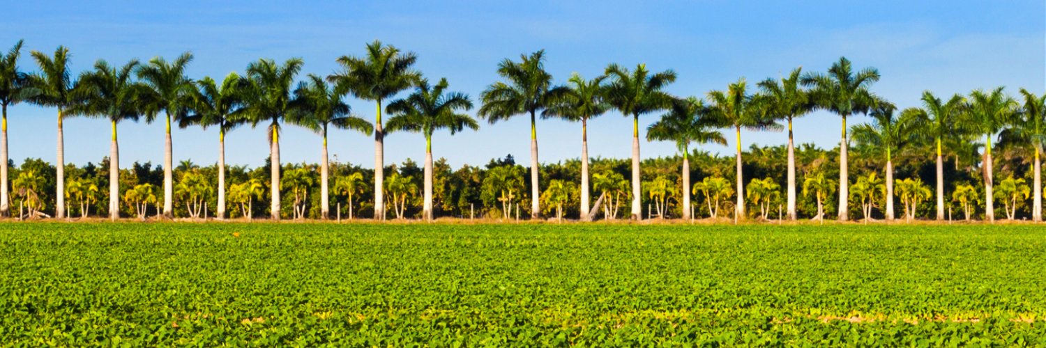 HCSEF's profile banner image