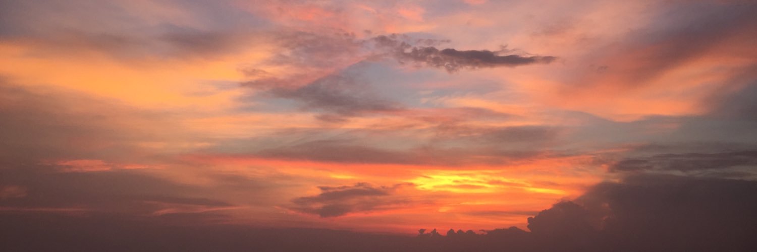 omnflr's profile banner image
