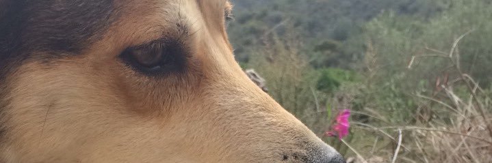 Miguel Martínez banner