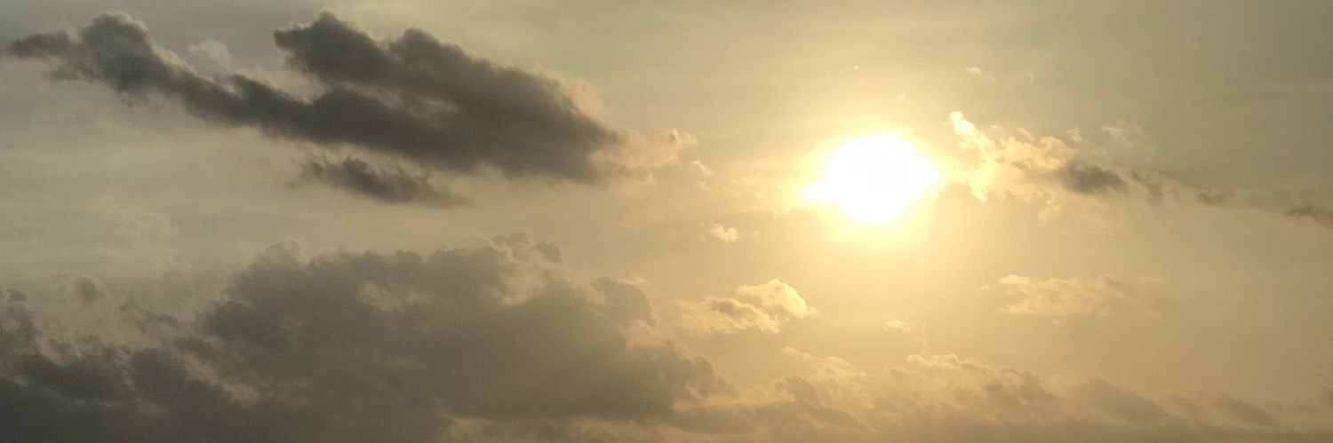 zlowfool's profile banner image