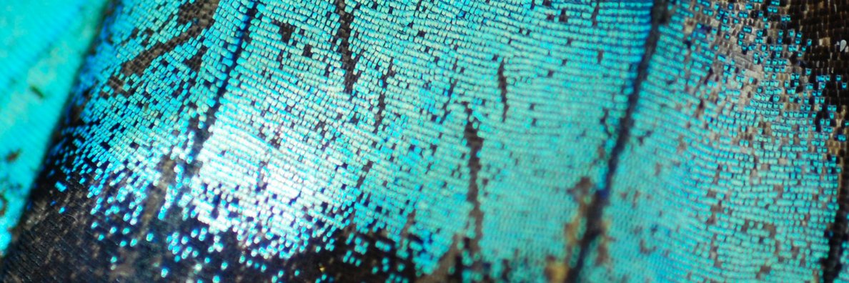 CRMMarga's profile banner image
