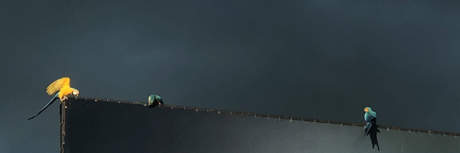 Caiozera01's profile banner image