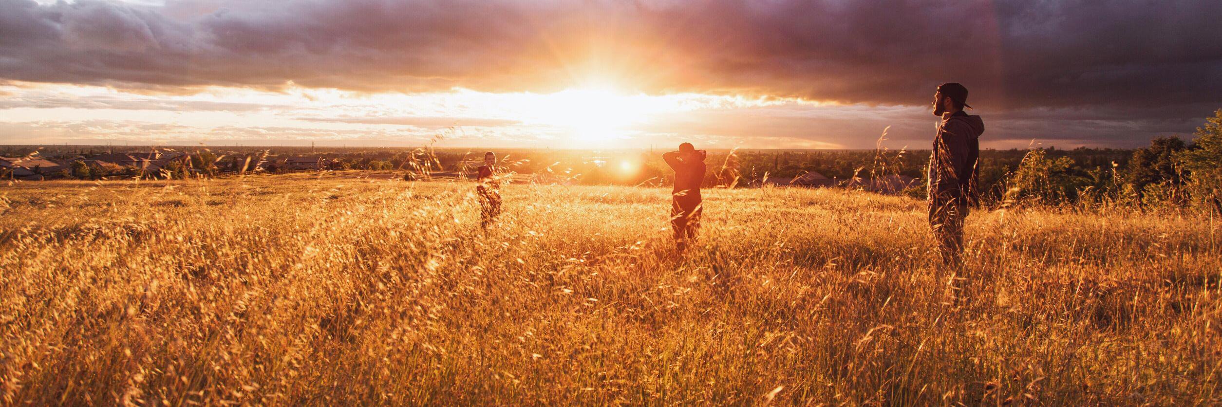 Tony - @tony@piaille.fr banner