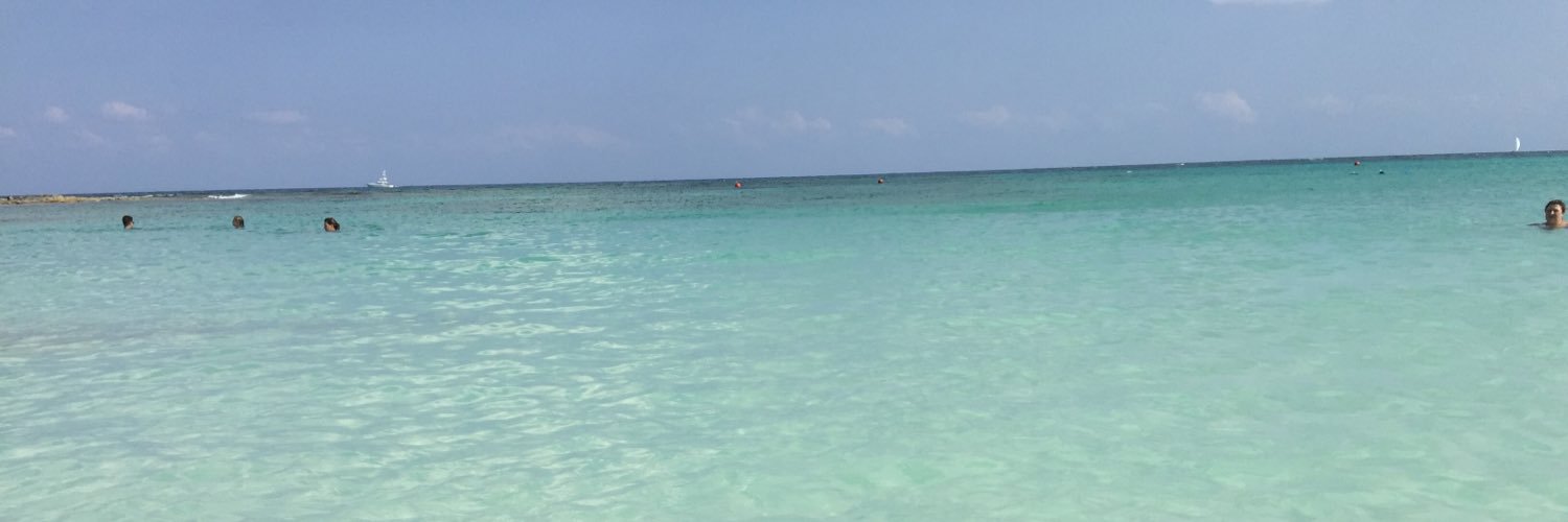 nikkiherm's profile banner image