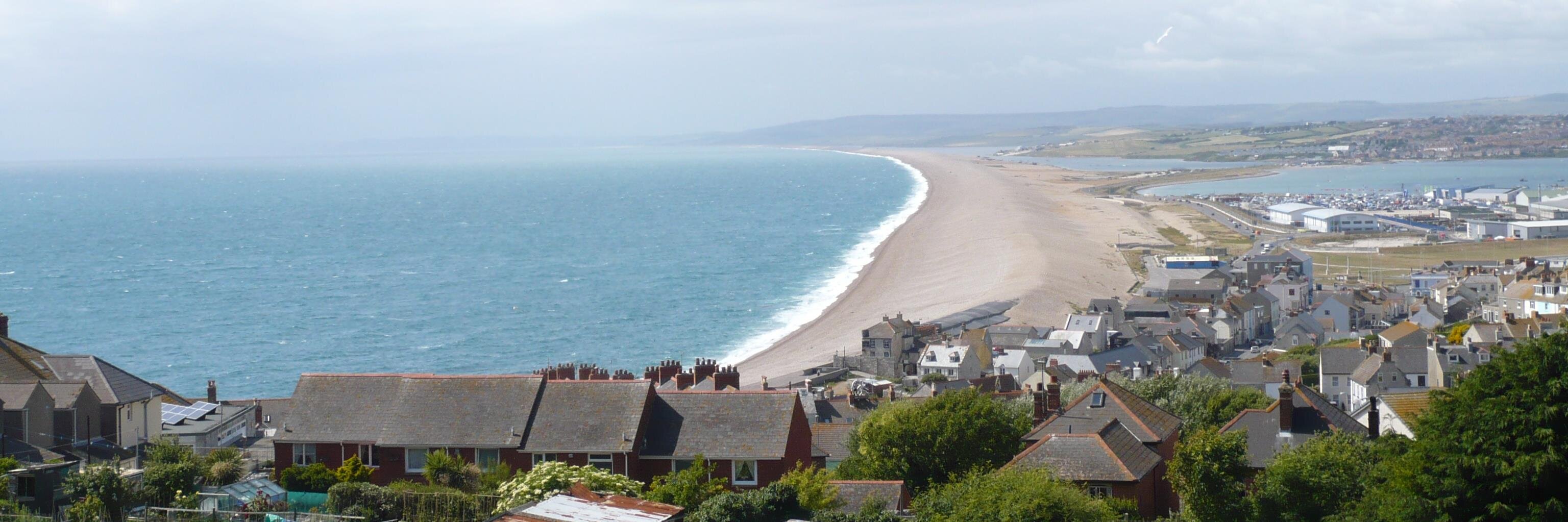 Dr Liz Chilvers 🇺🇦 banner