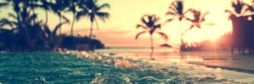 _aleexmuller's profile banner image