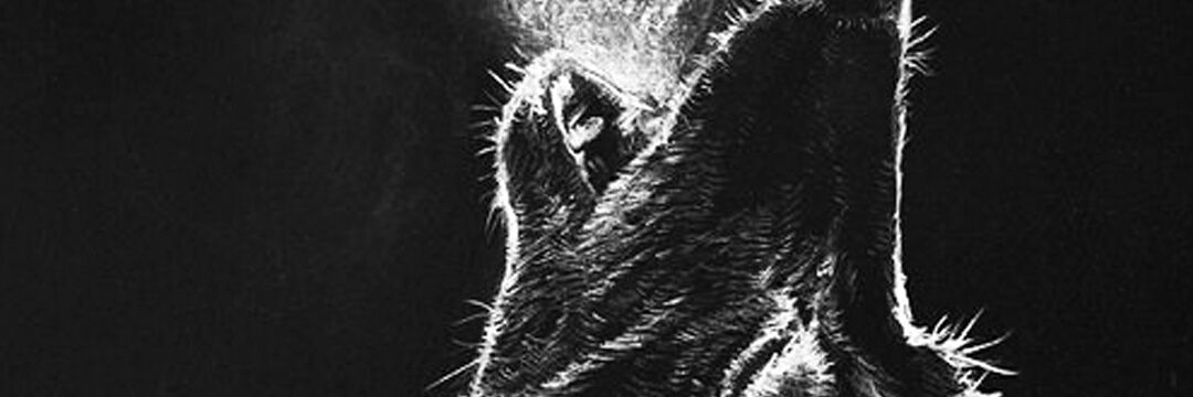 WhosUrDaddy42's profile banner image