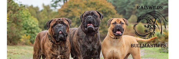 wrinklebonce Profile Banner