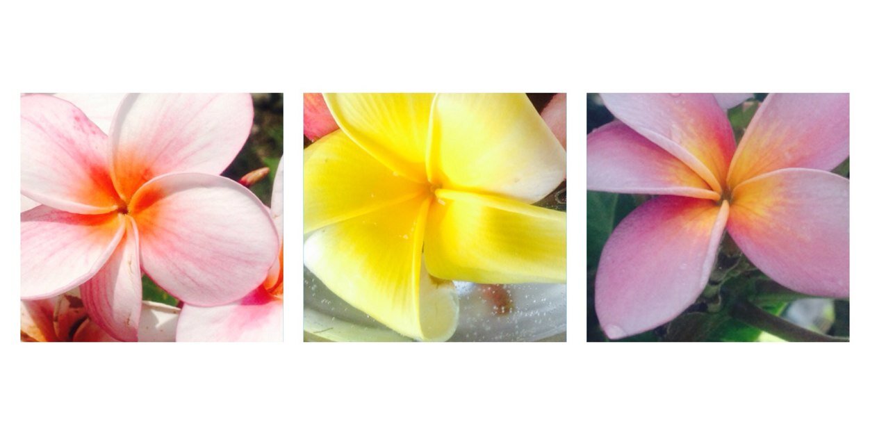 gparamita's profile banner image
