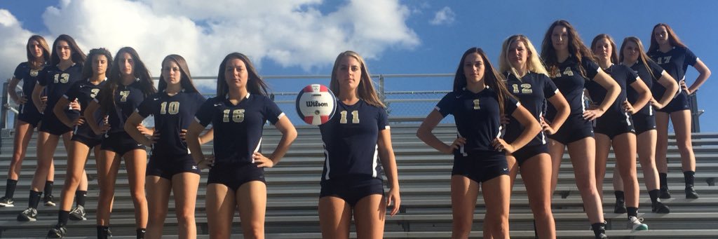 LHS Volleyball banner