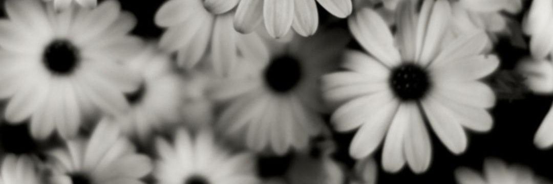 akkin_27's profile banner image