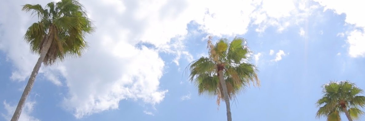 KristiWenzel's profile banner image