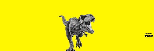 thomasvengels_ Profile Banner