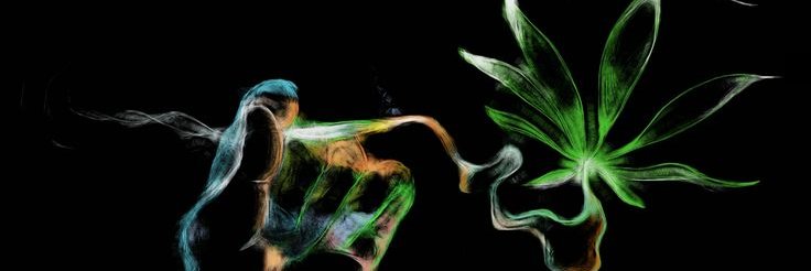 TheGreenHitter's profile banner image