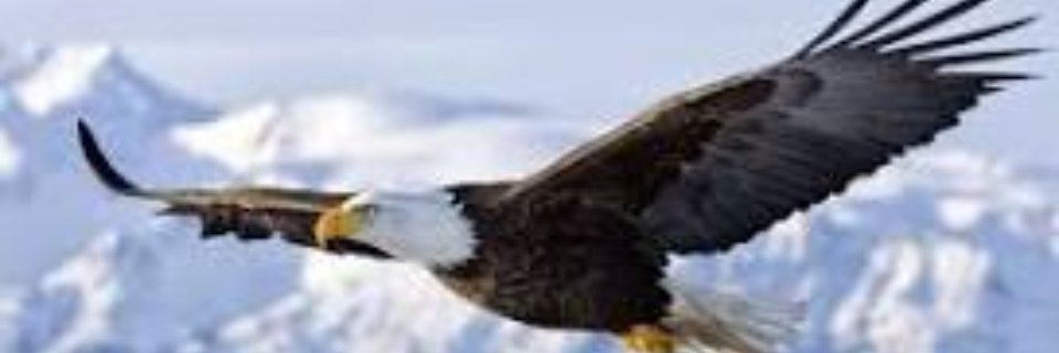 aquien_importe's profile banner image
