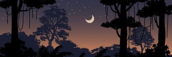 mulcphar's profile banner image
