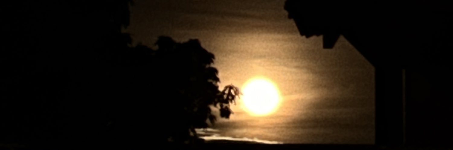 Andyneis's profile banner image