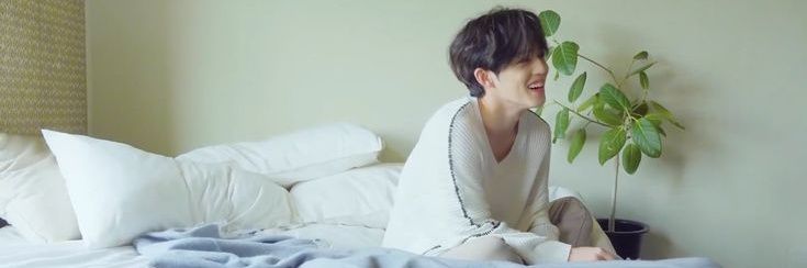 Seungcheol🪶 banner