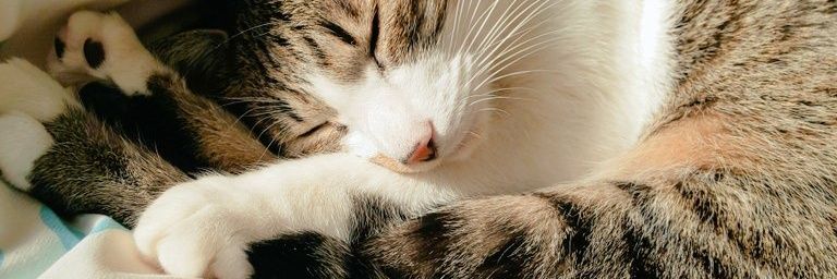 aiiida__'s profile banner image