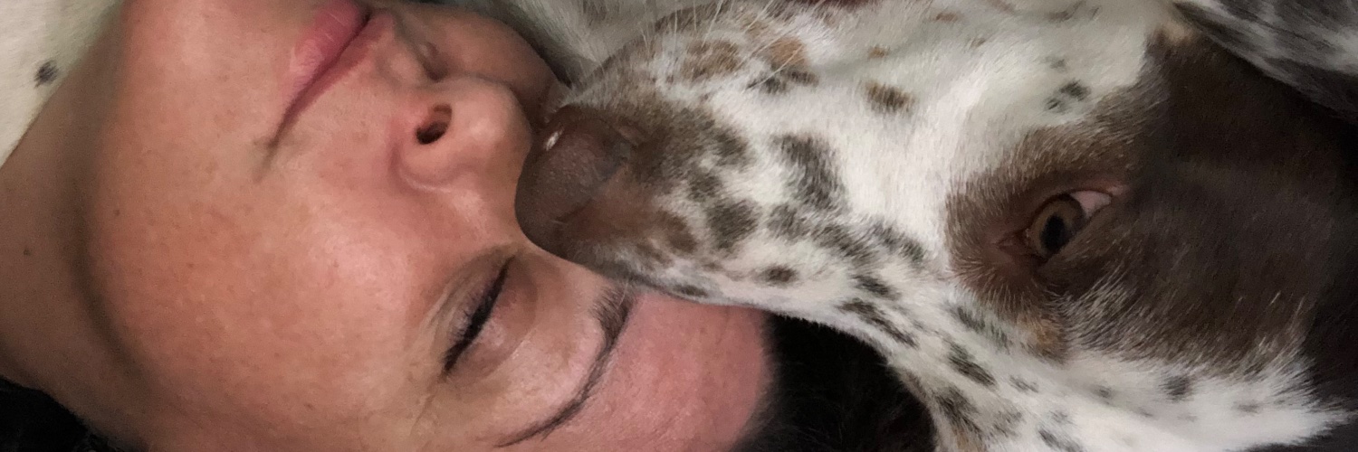 AcidaKitty's profile banner image