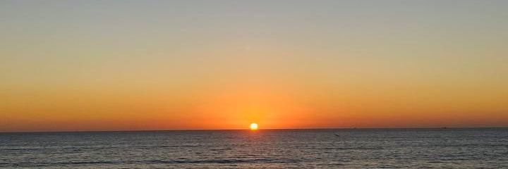 amarlenhe's profile banner image