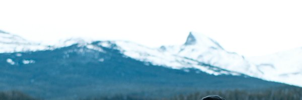 RE_Iftekhar Profile Banner