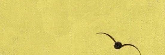 Fernanda Andrade banner