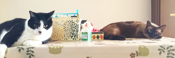 kuuyanbm Profile Banner